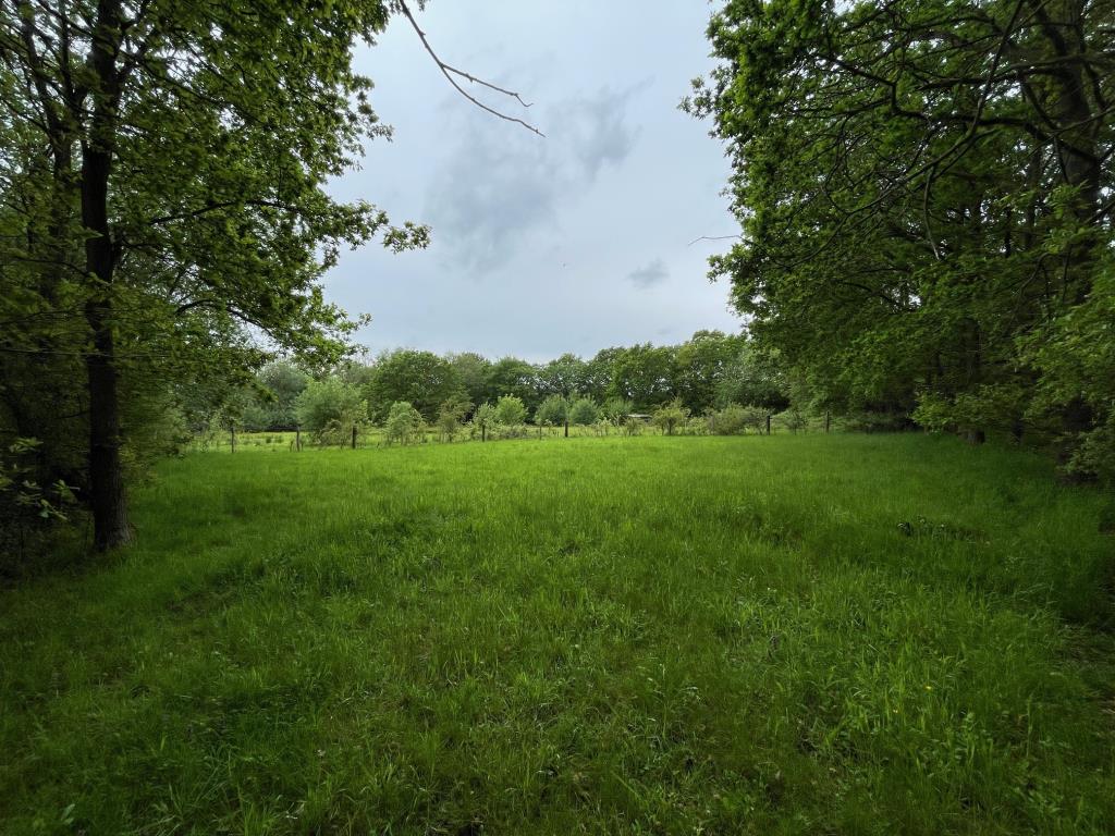 Lot: 71 - FREEHOLD PARCEL OF LAND - Approx 0.3 of an Acre of land